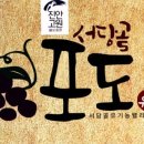 안천농장 네이버블로그