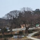 읍리 지석묘 이미지