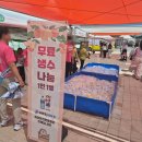 세종시민운동장 보조구장 | 🍑 [현장 스케치] 2025 제23회 세종 조치원 복숭아축제 개막!