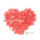 항상좋은날 이미지