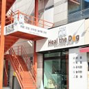 힐더독케어센터