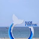 초곡민박 | 강원 삼척 가볼만한곳 삼척해수욕장 개장일·폐장일