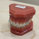 우리홈치과의원 이미지