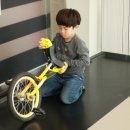 푸른솔 태권도 이미지