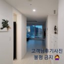 봉봉플뢰르 프리저브드플라워 두꺼비집가리개 🌸