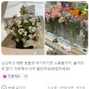 강원디자인개발연구소 이미지