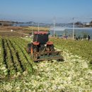 해남군-01 이미지