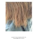 헤어몬스터 - 계양구 | 헤어몬스터