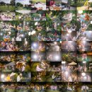 김동호 농장 | 2015 홍대탈출 페스티벌 후기