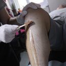 달리뷰띠끄