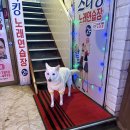 스타킹 노래연습장 이미지