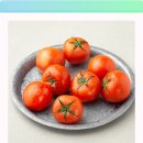 친환경 토마토 이미지