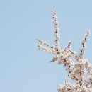 축제코스 이미지