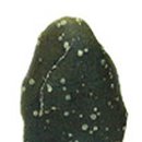 석질농장 이미지