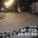 스테이체리 이미지