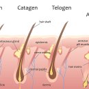 더예쁨의원 이미지