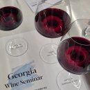 바니베리 | 조지아 와인 세미나 사페라비 크베브리 테이스팅 시음 후기
