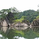 보고또보고 이미지