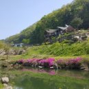 미륵산계곡꿈의궁전마을