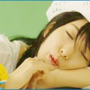 바다의별 이미지