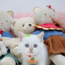 기대만족부산 - 부산진구 부전로 136 | 기대만족부산