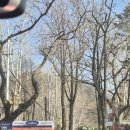 리버뷰캠핑장 | [남양주] 북한강 리버뷰 캠핑장 글램핑 더드림핑/카페리버나인 준비없이 떠나는 여행