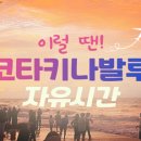 자유월드여행 이미지