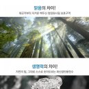 천지차이 백산수와 함께하는 건강한 습관