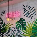 망원동 데이트, 하와이 음식점 훌라훌라 HULA HULA｜카페 코코부코 코코넛쉐이크