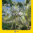 만수2동-15 이미지