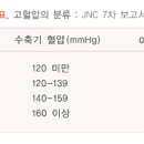 고혈압 Daum카페