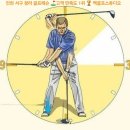 맥스피드 이미지