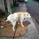 심바동물병원 이미지