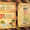 코뿔소식당 티스토리