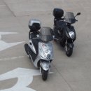 델피노 I 이미지