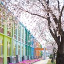 낭산초등학교 이미지