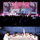 데이나이트컴퍼니 이미지