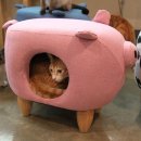 편리한집 이미지