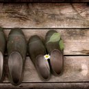 바다햇살 이미지