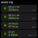 운동생활