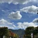 지사안하마을 | 서울 근교 아이랑 가기 좋은 과천 서울대공원 동물원 리프트 맛집 단풍