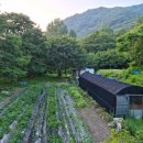 (주)부동산중개법인 오케이 이미지