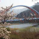 녹차향기 이미지