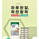 이지 앤 멀티