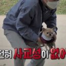 독클래스 이미지