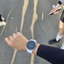 타임월드갤럭시 | 2026 갤럭시워치런⌚️🏃🏻‍♀️사파리런🦒🐘후기 +꿀팁 ㅎㅎ