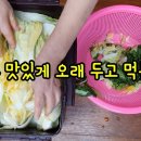 배추 맛있게 저장하는 법 이미지