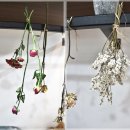 &lt;오창꽃집&gt;&lt;옥산 꽃배달&gt; 오창장미로 나에게 주는 꽃선물, 로맨틱 꽃다발은 인데이즈플라워에서~~