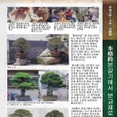소나무기획 이미지