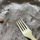 로로케이크